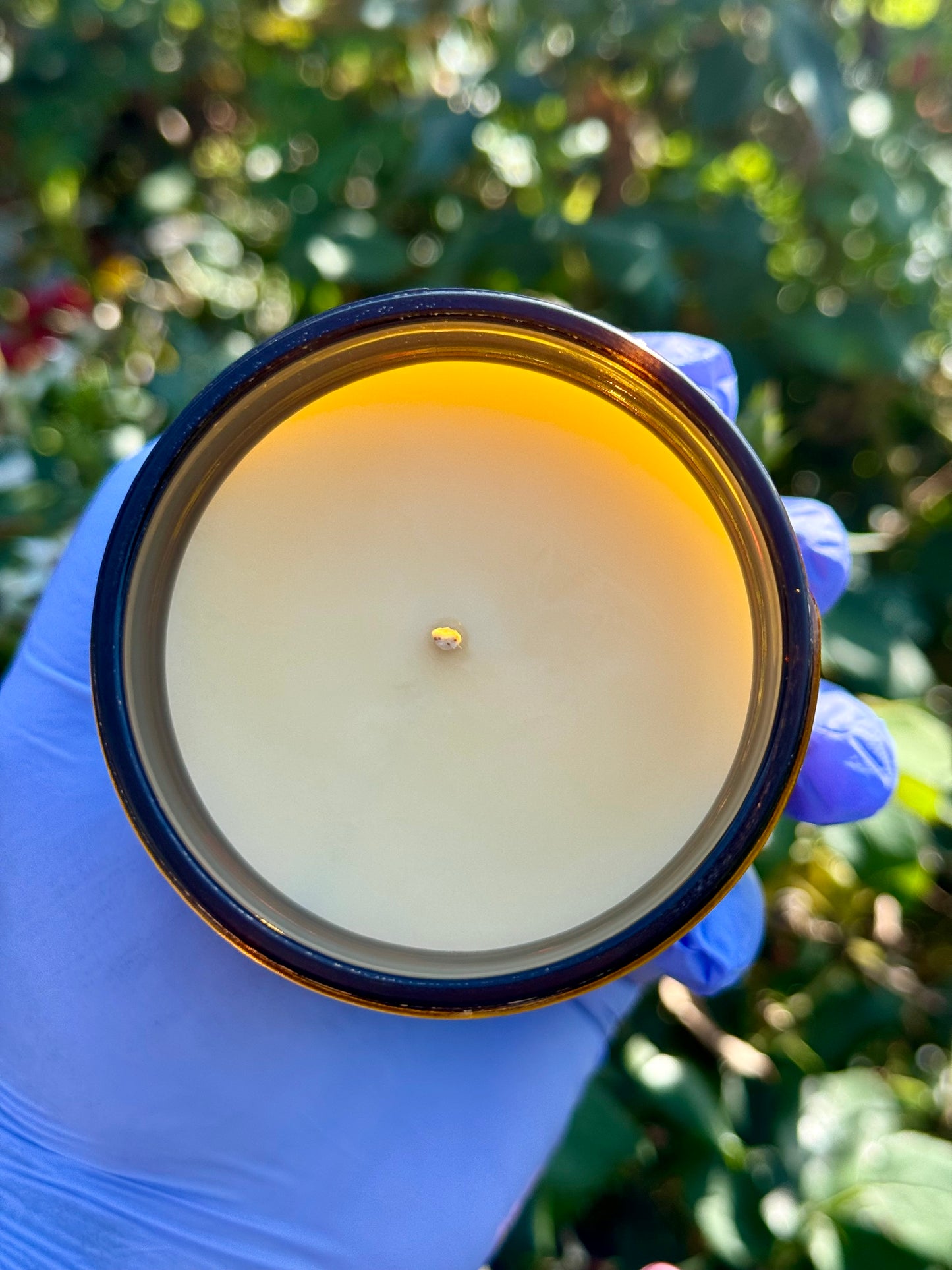 Winter Collection 8 oz Jar Candle