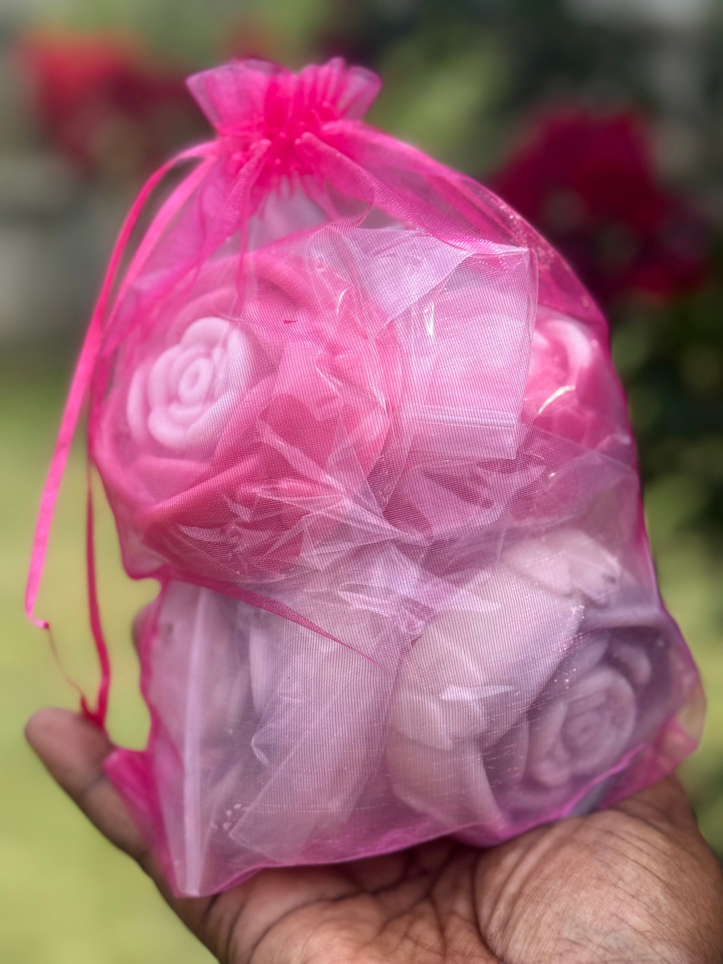 Blossoms Sampler-Favorites
