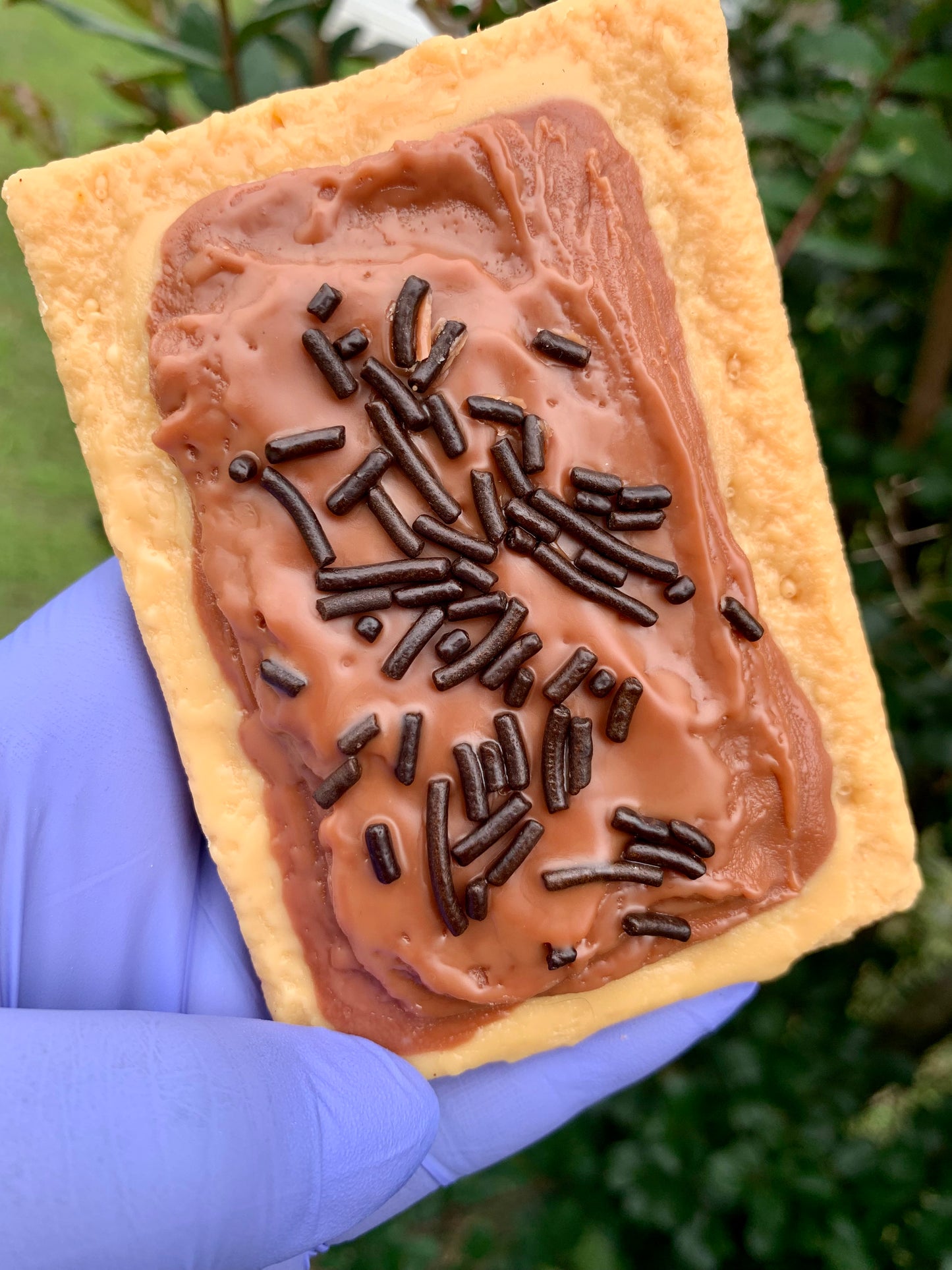 Pop Tart Wax Melt