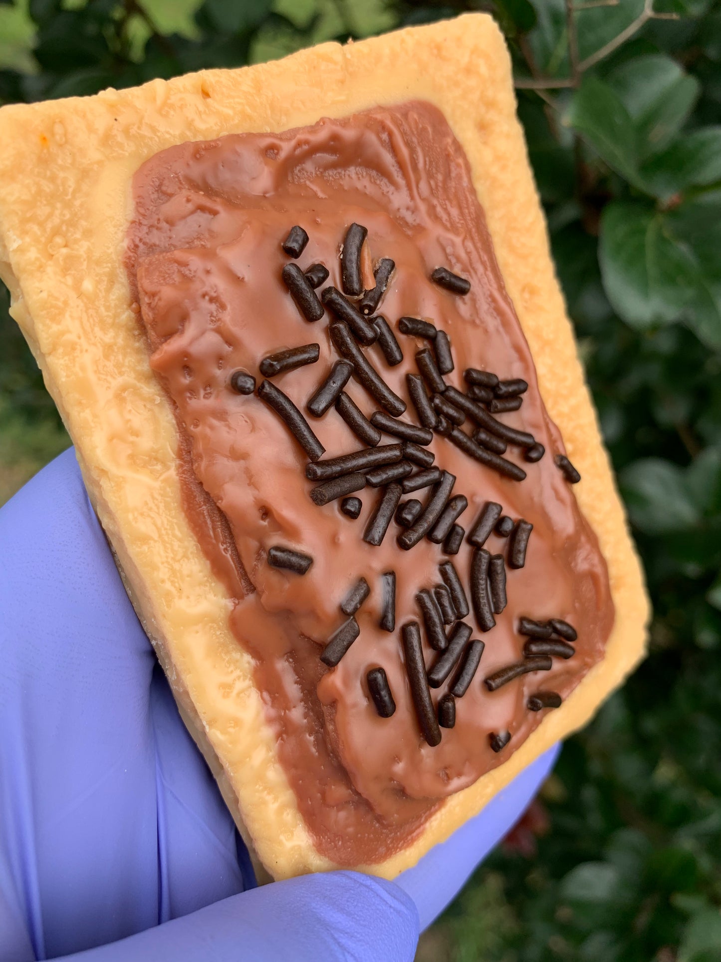 Pop Tart Wax Melt