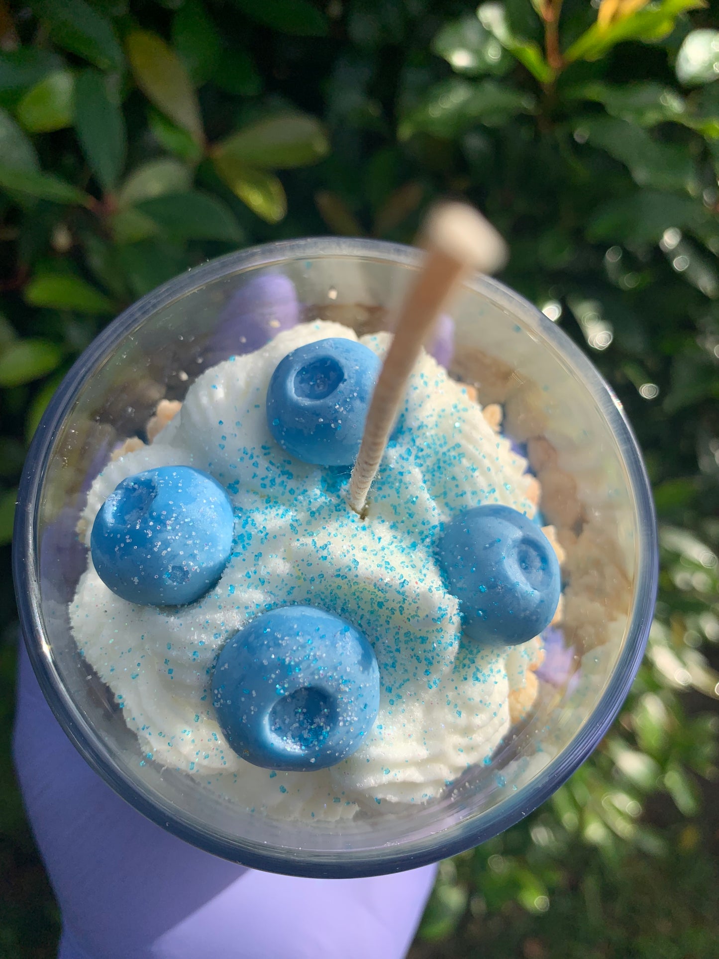 Blueberry Cobbler Scented Candle