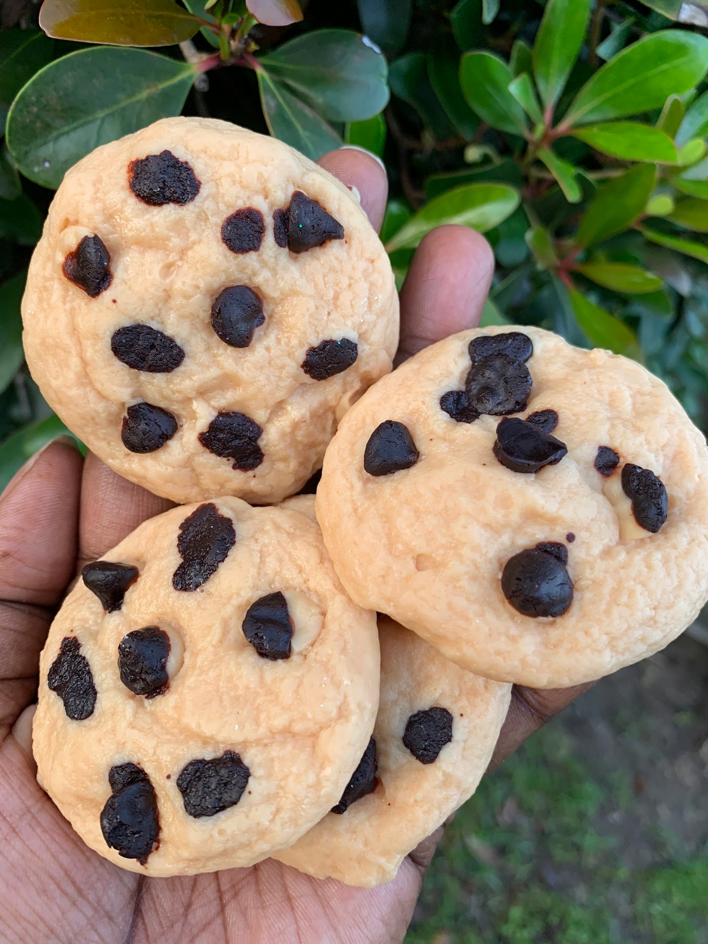 Chocolate Chip Cookie Melts