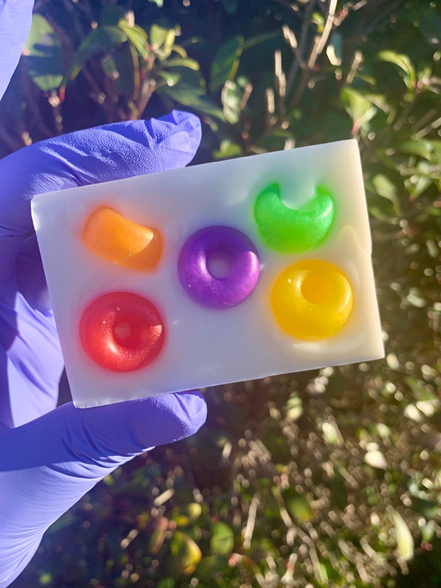 Fruity Loop Bar Soap