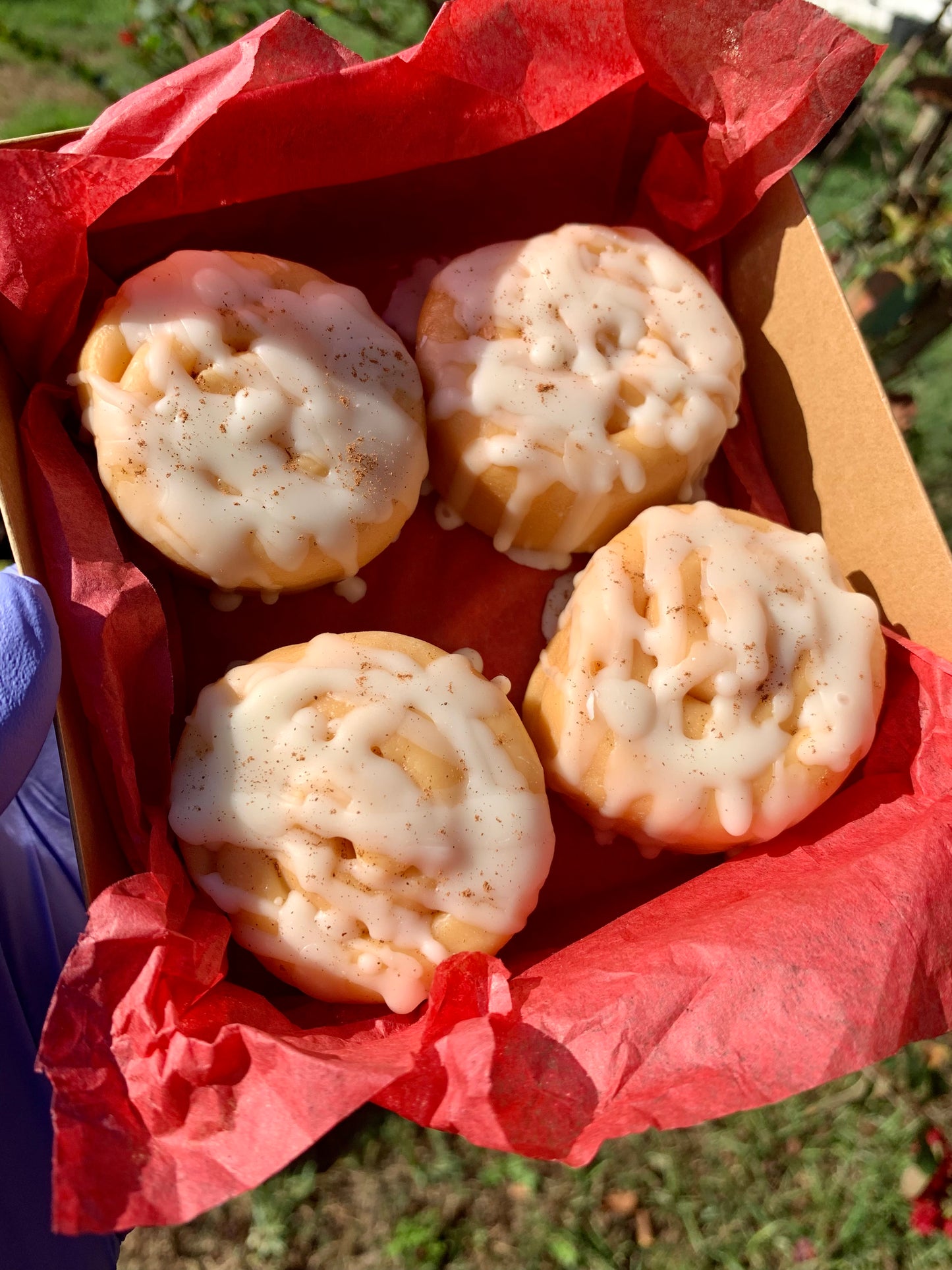Cinnamon Roll Wax Melts