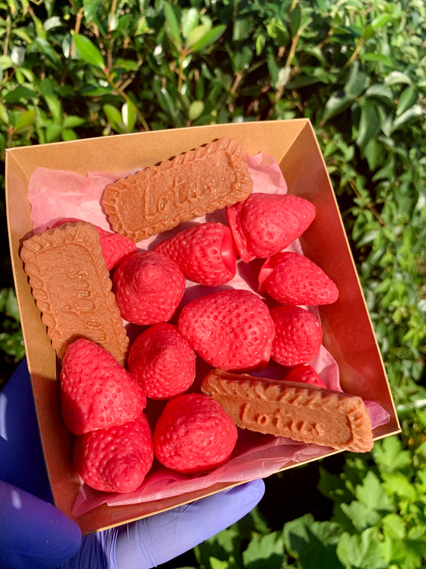 Strawberries and Caramel Biscuit Cookie Melts