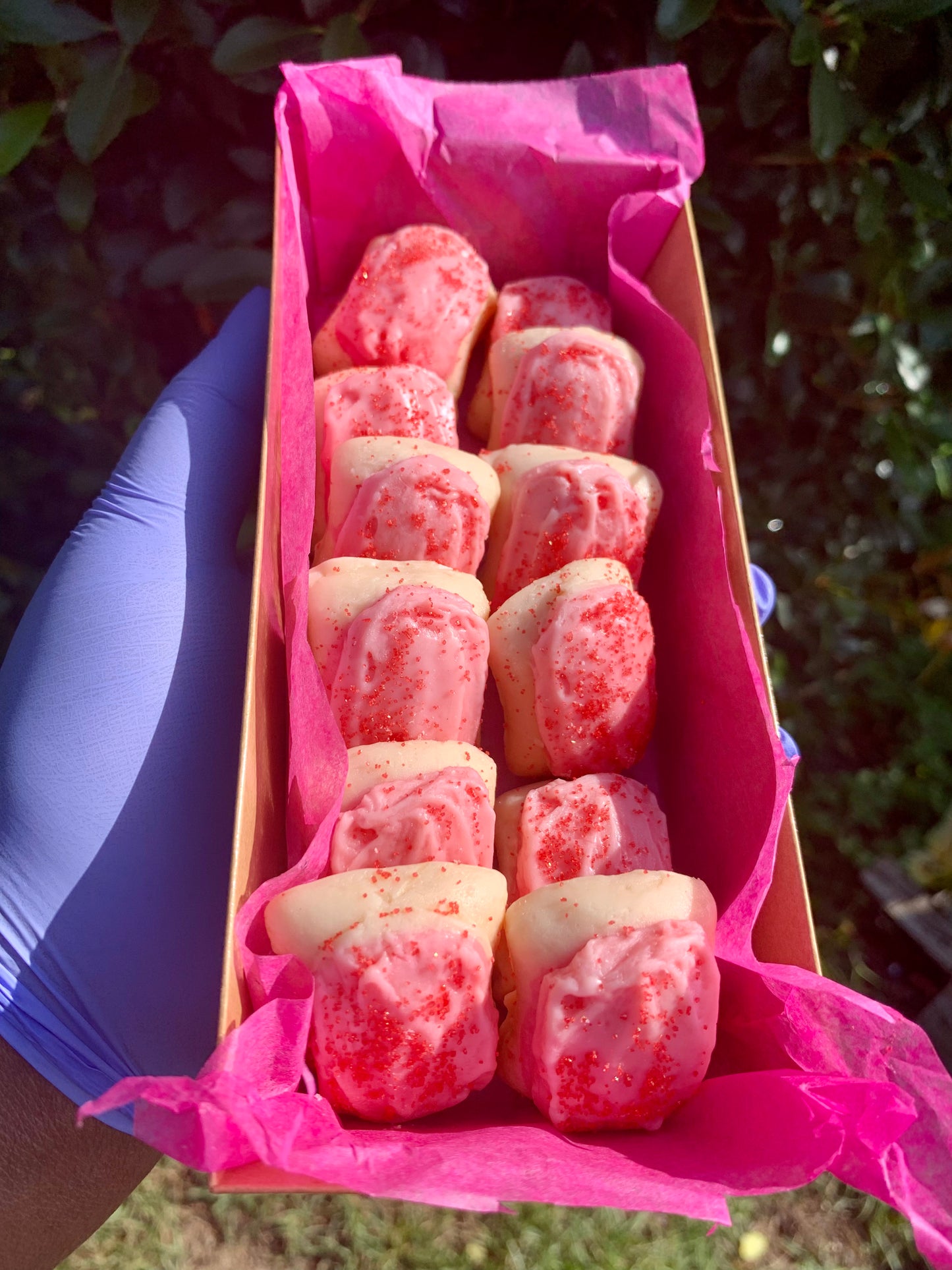 Mini Pop Tart Wax Melts
