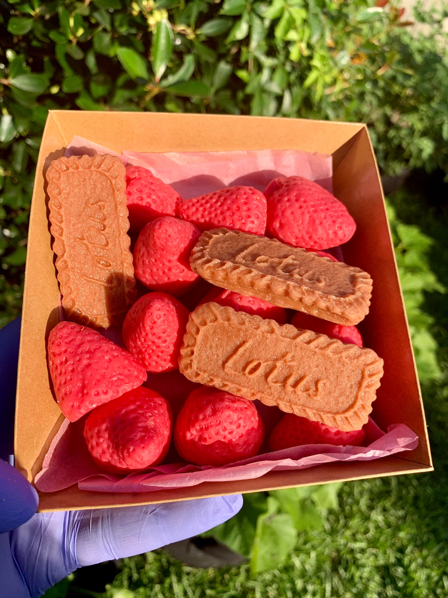 Strawberries and Caramel Biscuit Cookie Melts