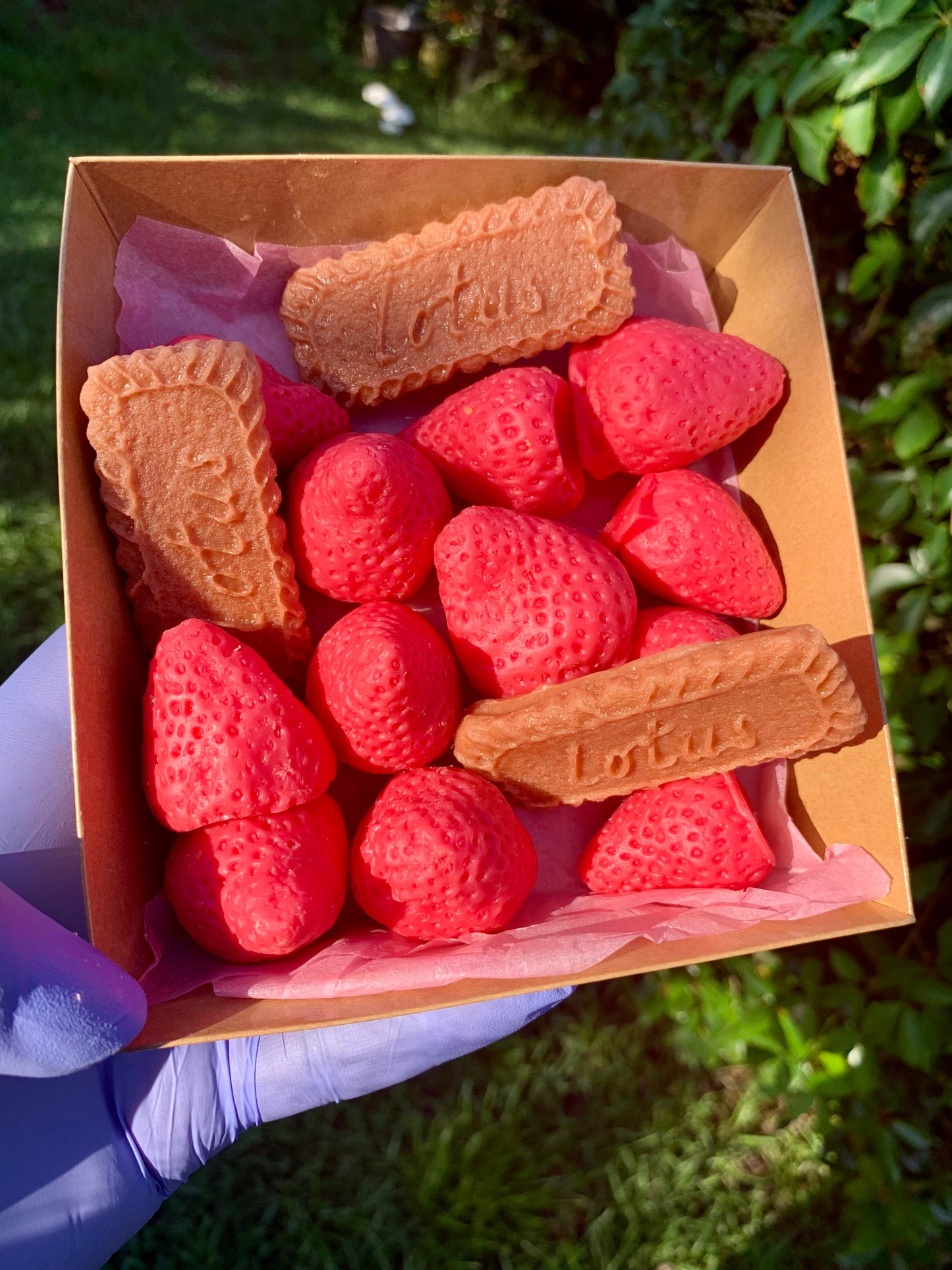 Strawberries and Caramel Biscuit Cookie Melts