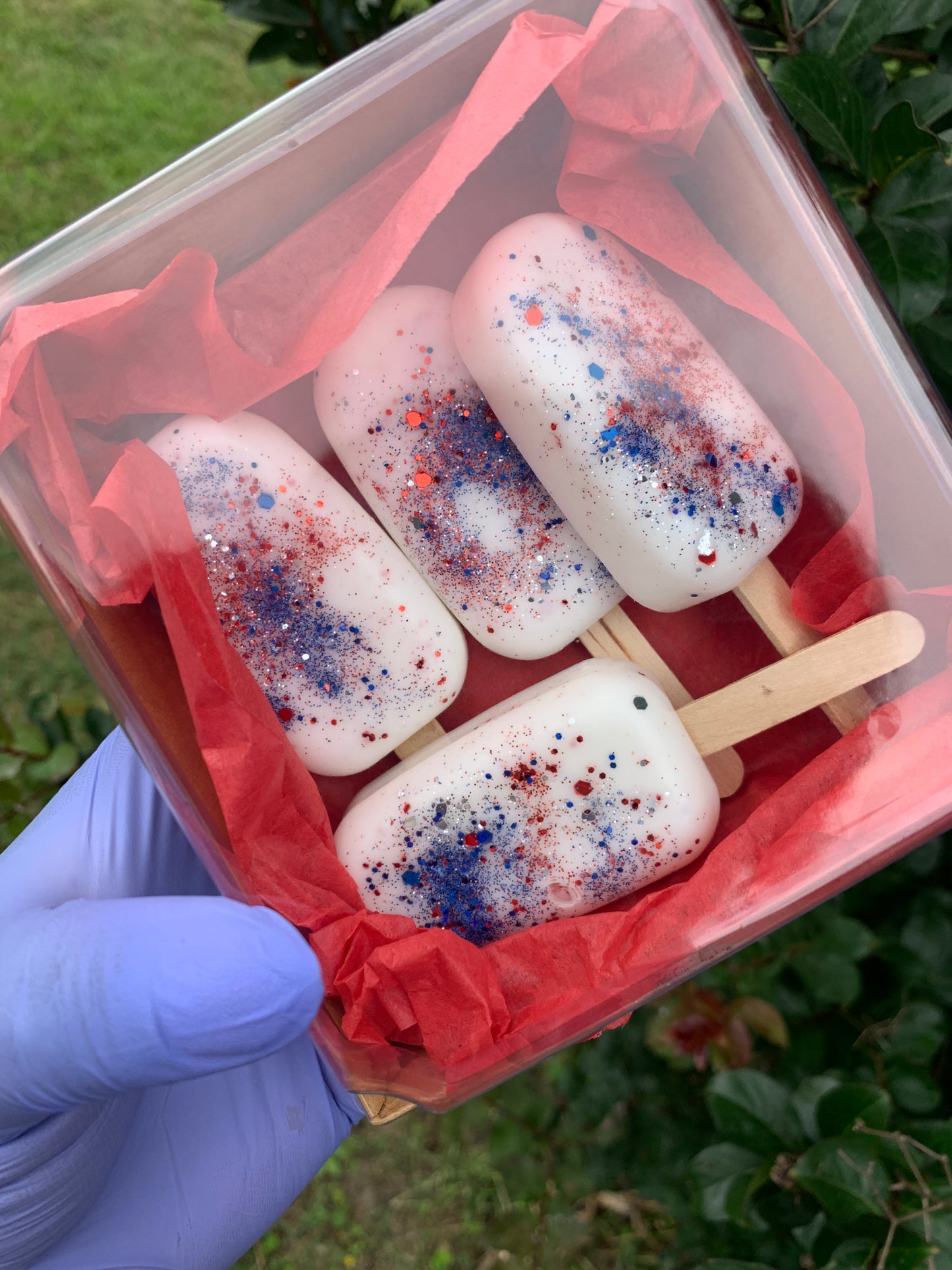 Welcome Summer Popsicle Melts