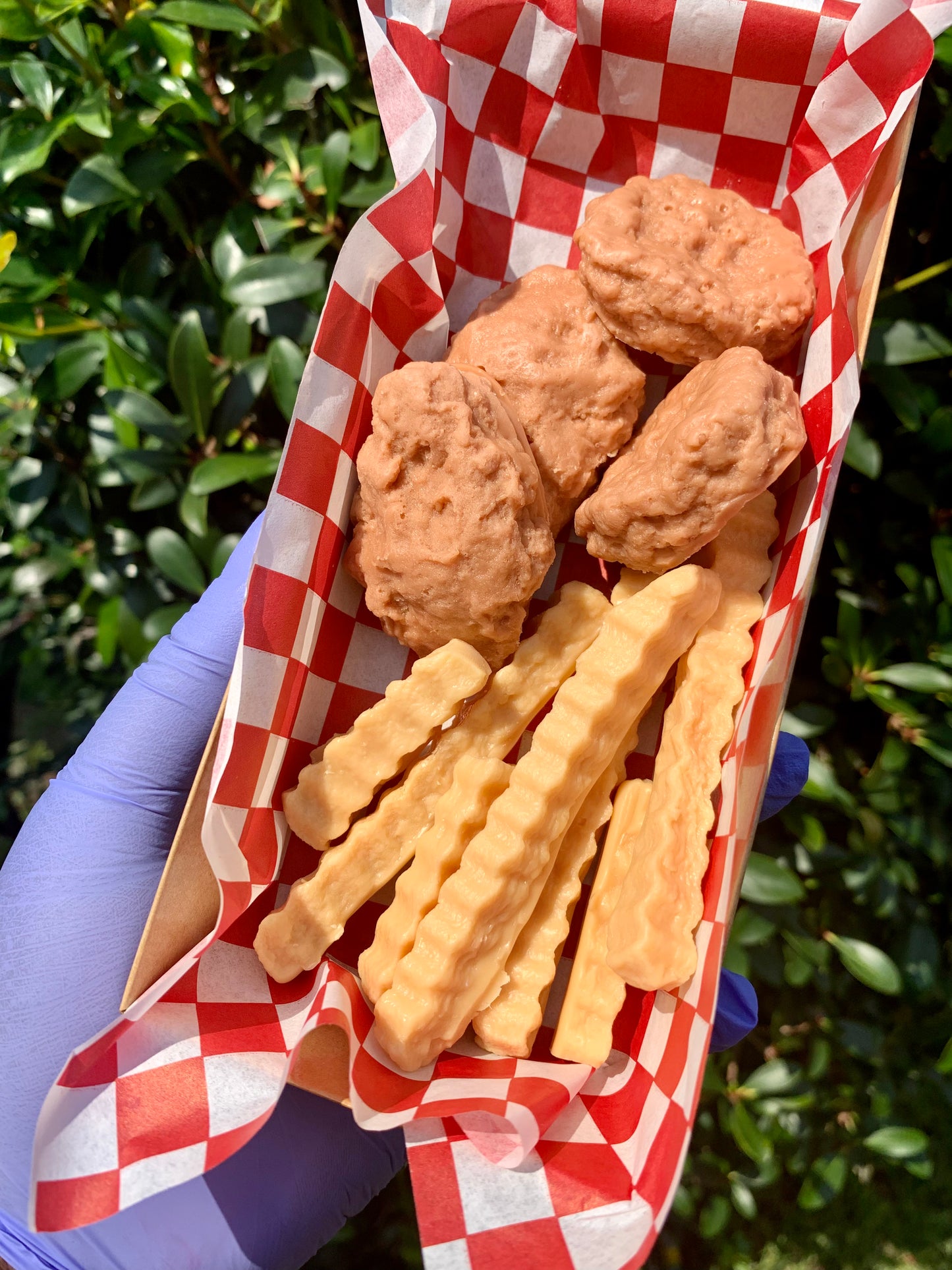 Chicken Nuggets and Fries with Ketchup