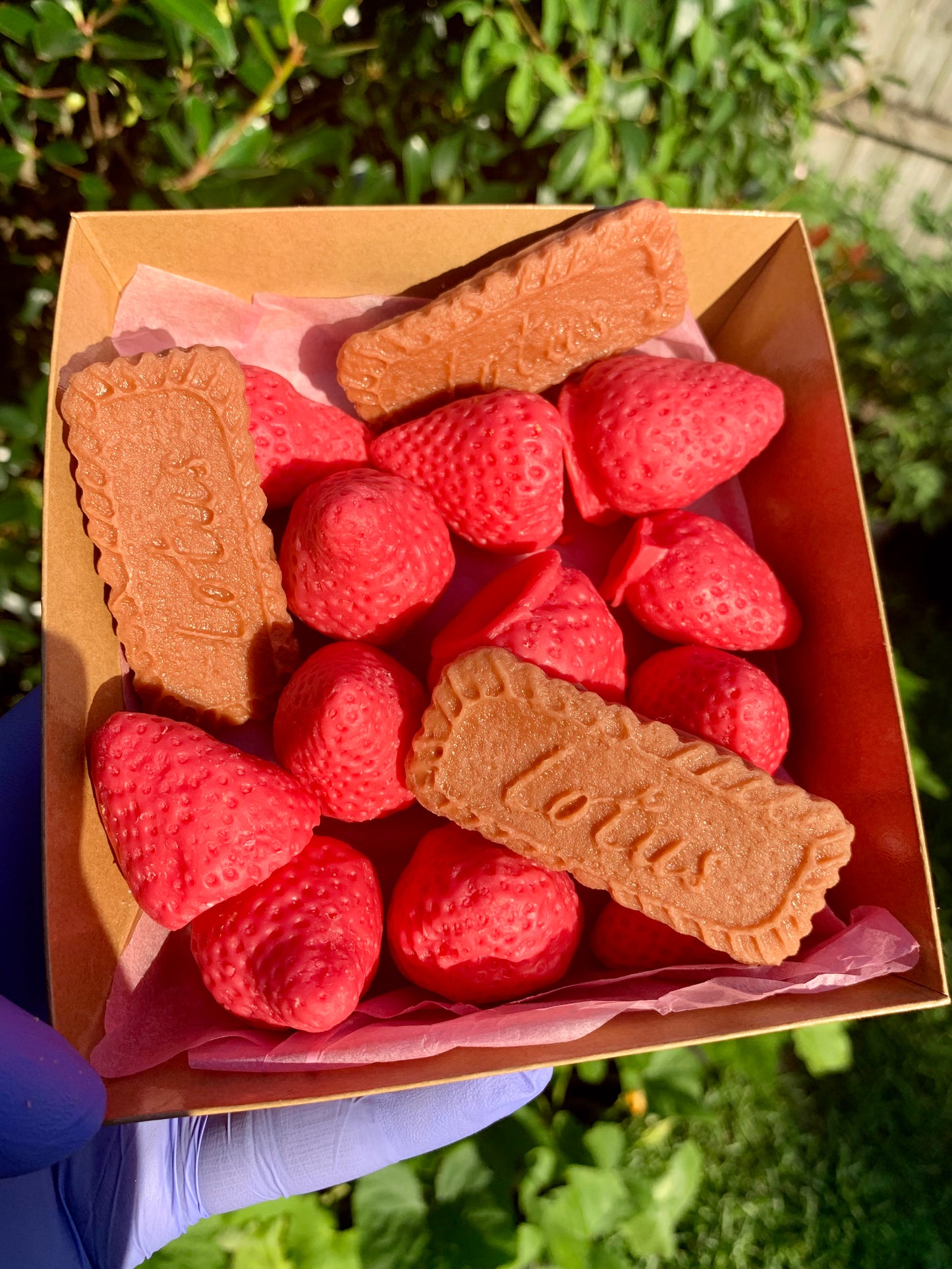 Strawberries and Caramel Biscuit Cookie Melts