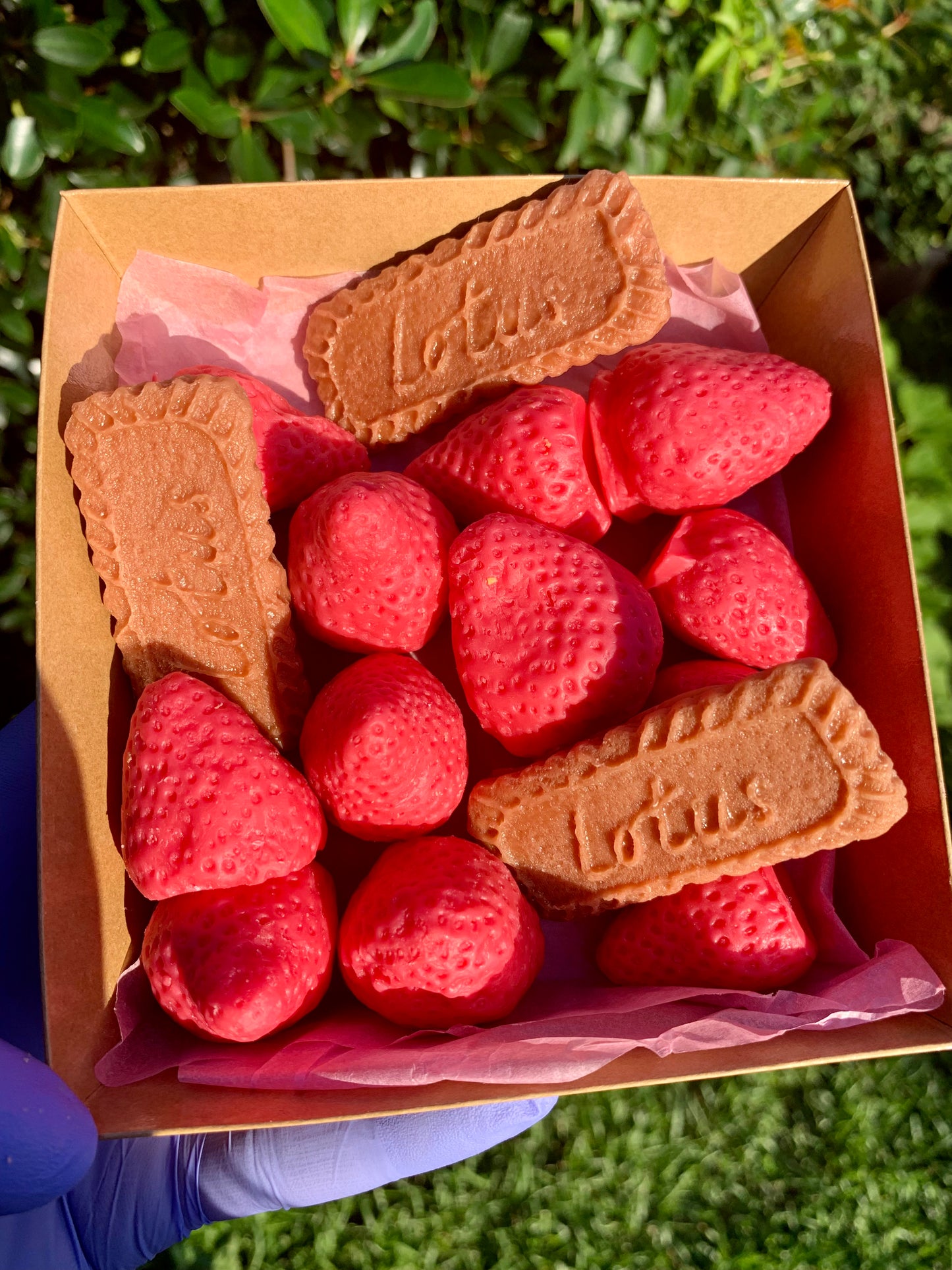 Strawberries and Caramel Biscuit Cookie Melts